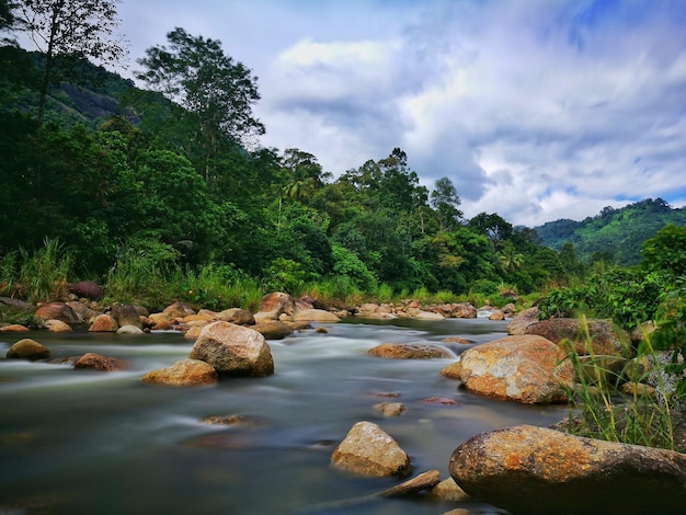 Scenic view of river against sky