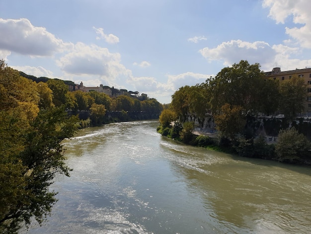 Photo scenic view of river amidst trees against sky