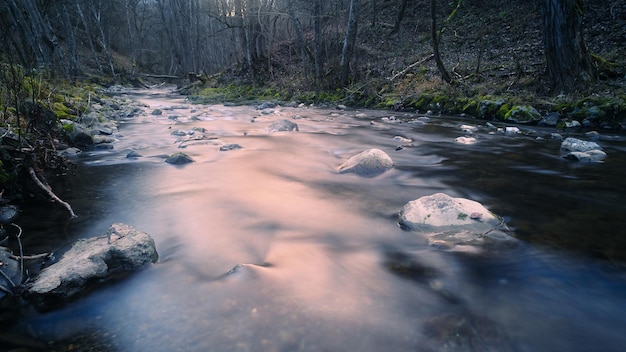 Photo scenic view of river stream in forest