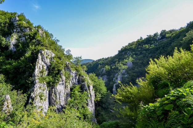 Scenic view On rock. Mountain in Plitvice Lakes national park, Croatia. Europe. Europe's Best Destinations and famous sight. Magical landscape.