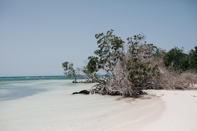 Photo scenic view of sea against clear sky