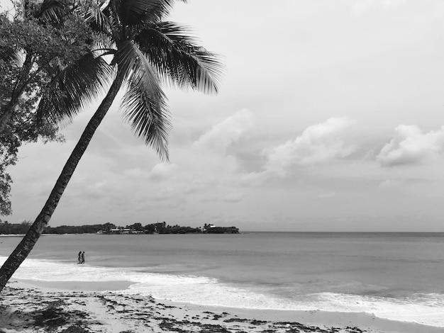 Photo scenic view of sea against sky