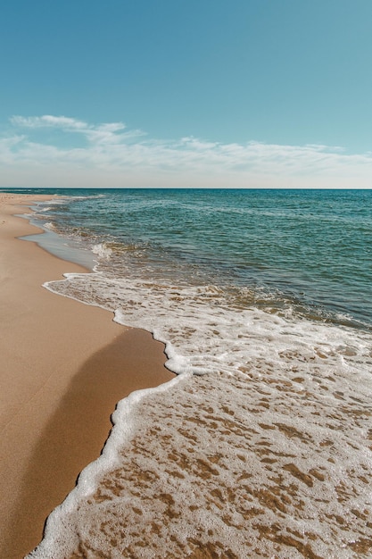 Scenic view of sea coast