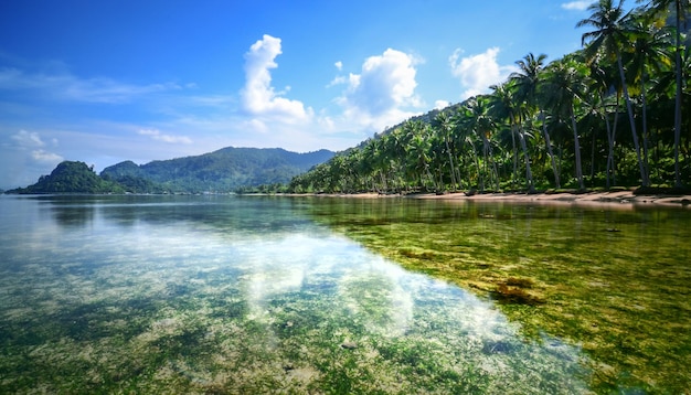 Scenic view of Sea scape in a beautiful day