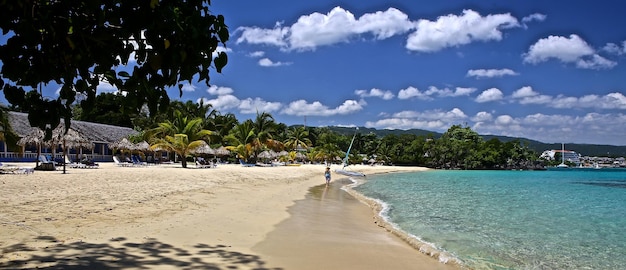 Scenic view of sea and trees against cloudy blue sky on sunny day