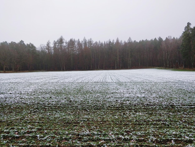 Scenic view of snowy field against clear sky