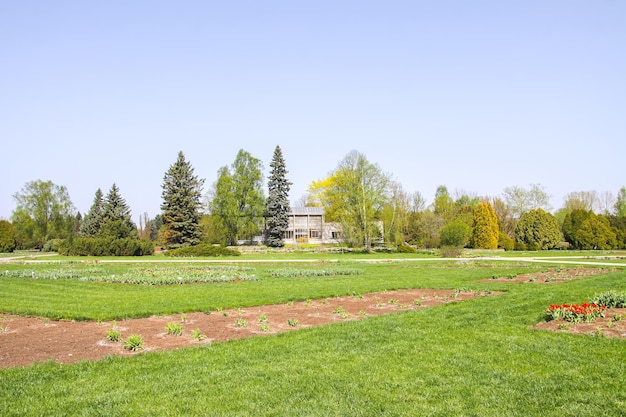 Scenic view Spring landscape