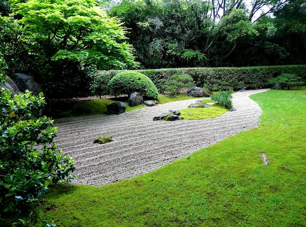 Scenic view of tree and plants