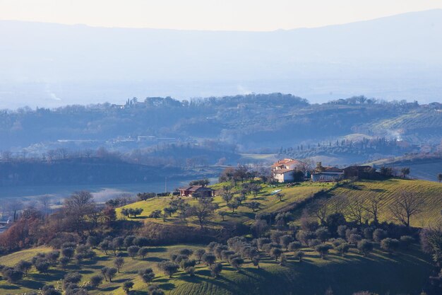 Scenic view of trees and houses against sky