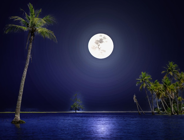 Scenic View of tropical Island with coconut trees and beautiful night sky