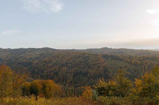 A scenic view of a valley with trees mountains and sky