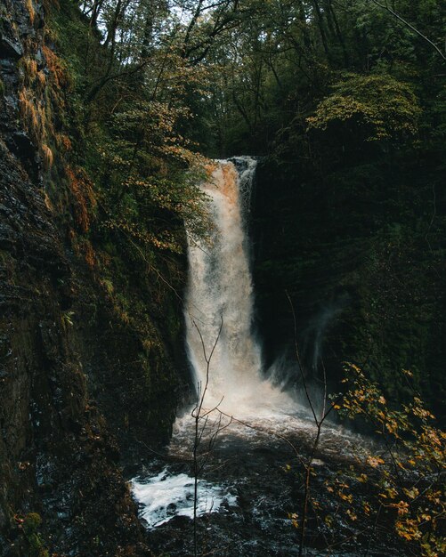 Photo scenic view of waterfall amidst forest