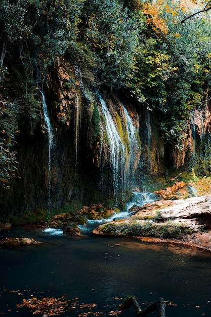 Photo scenic view of waterfall in forest