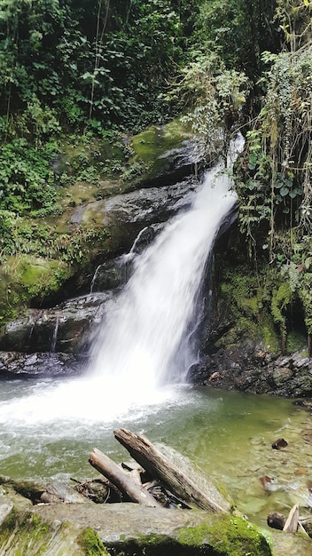 Photo scenic view of waterfall in forest