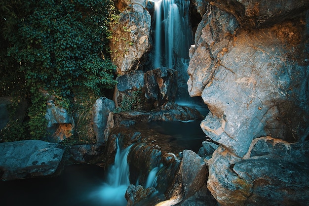 Scenic view of waterfall in forest