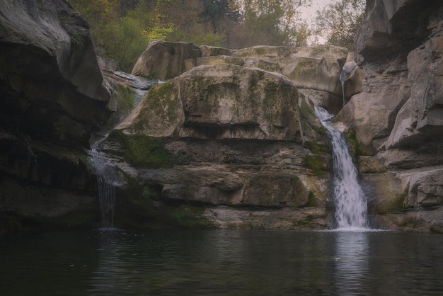 Scenic view of waterfall in forest