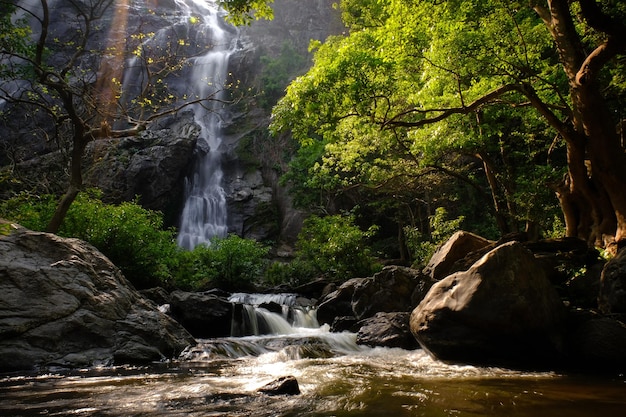 Photo scenic view of waterfall in forest