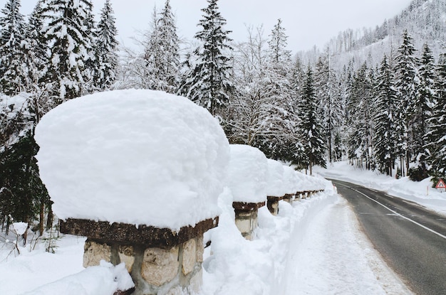 Scenic view of winter landscape with snow covered trees and mountain river in Alps, Slovenia. Beauty