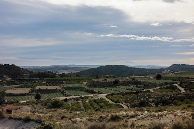 Scenic views of agricultural fields