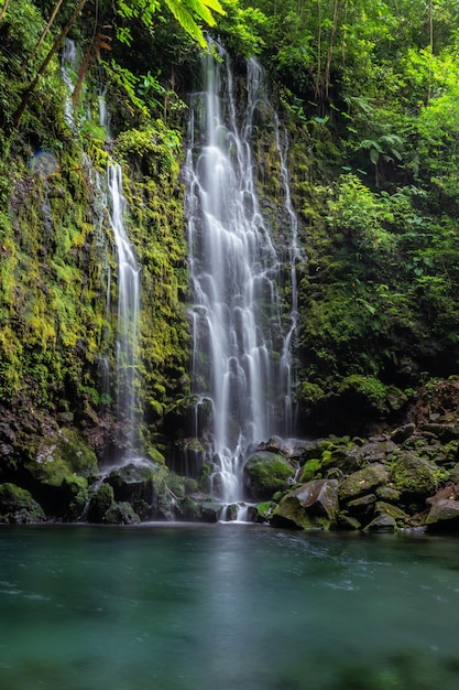 Scenic Waterfall Landscape in deep forest