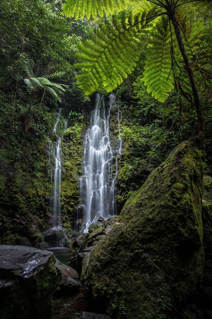 Scenic Waterfall Landscape in deep forest