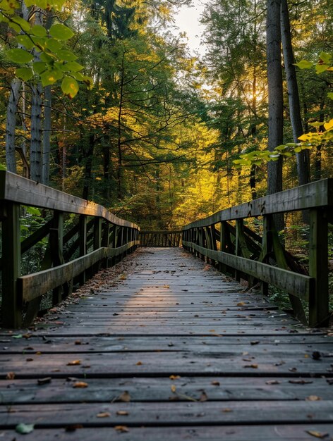 Scenic Wooden Bridge in Serene Forest at Sunset