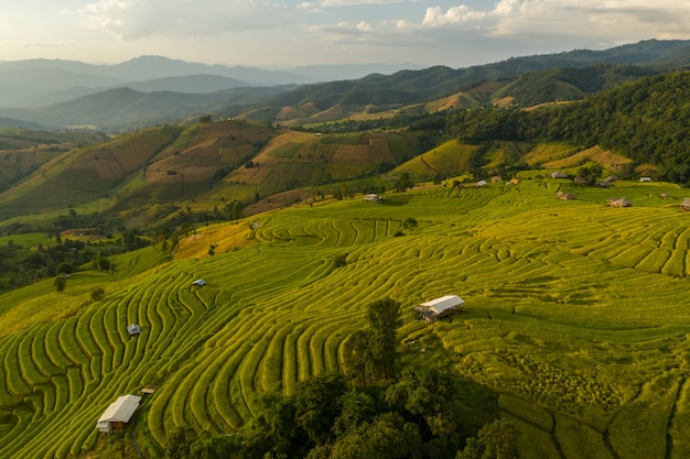 Scenics view of terrace field on hills