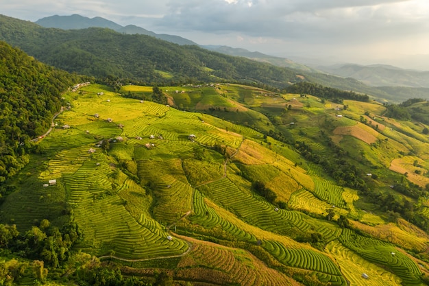 Scenics view of terrace field on hills