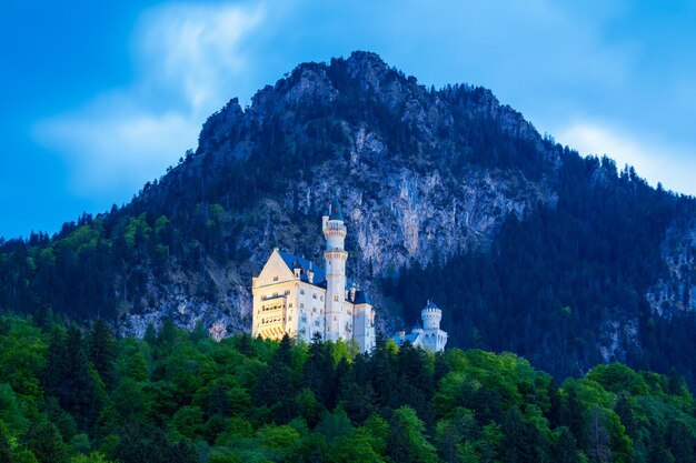 Schloss Neuschwanstein Castle or New Swanstone Castle is a Romanesque Revival palace in Hohenschwangau village near Fussen in Bavaria, Germany. Neuschwanstein Castle was built by king Ludwig II.