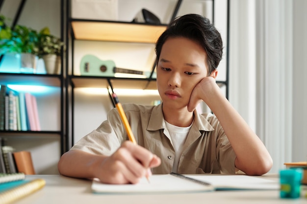 Schoolboy Doing Homework