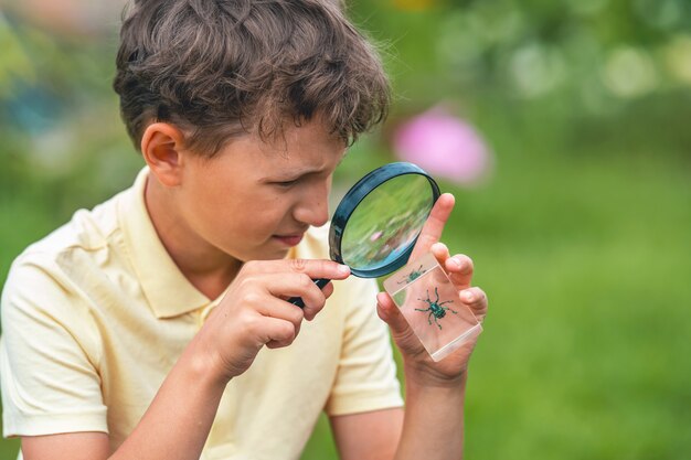 Schoolboy studying beetle through a magnifying glass