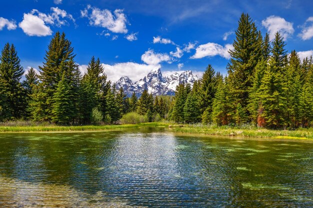 Schwabacher landing with snake river in grand teton national park wyoming usa