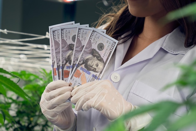 Scientist gain money after gratifying profiting from selling medicinal cannabis