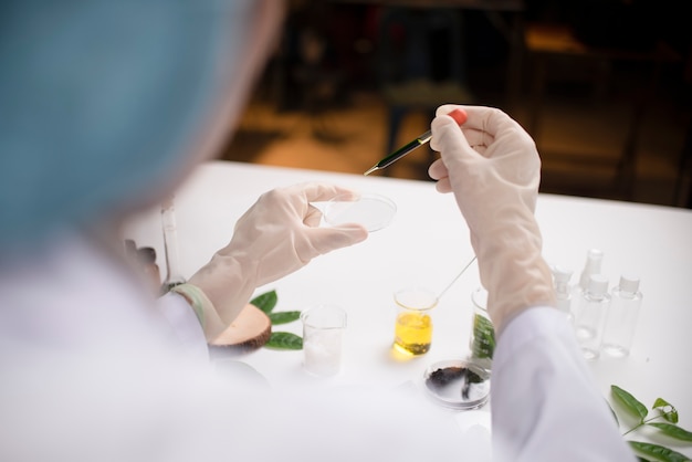 Scientist hand holding green leaf in glass cuvette on laboratory. biotechnology concept.