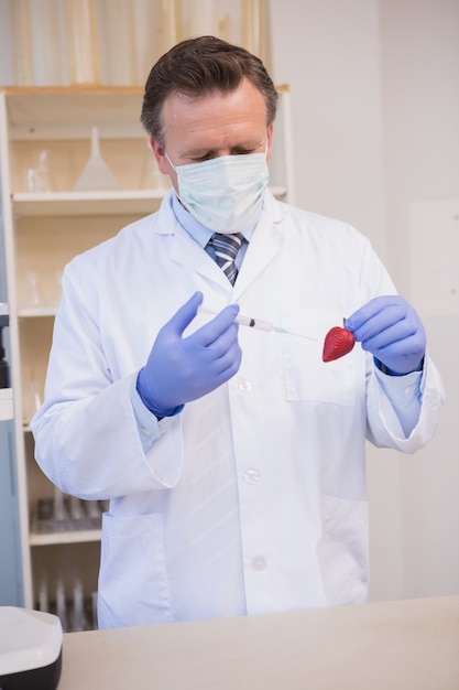 Scientist injecting strawberry 