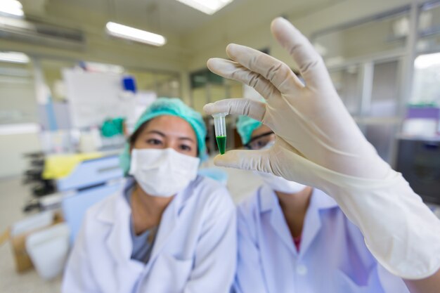 Scientist looking at plants in test tube in laboratory, Seletive focus