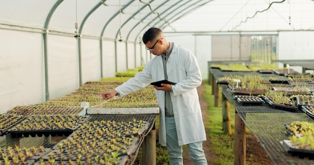 Photo scientist man and tablet for greenhouse plants farming or agriculture inspection quality assurance and check science expert or farmer with food security vegetables or growth data on digital tech