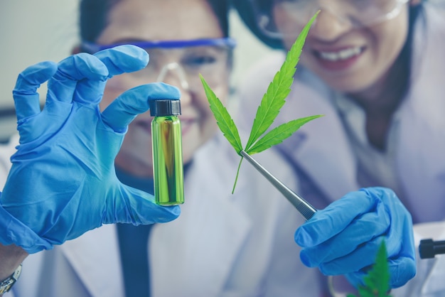 Scientist researchers are studying the extraction of hemp oil for medical