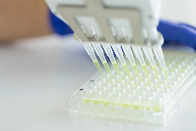 Scientist Using Multichannel pipette and multiwell eppendorf plate in laboratory