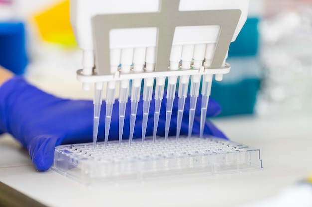 Scientist Using Multichannel pipette and multiwell eppendorf plate