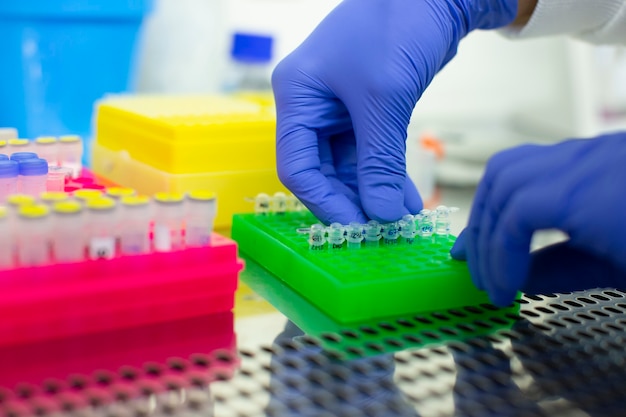 scientist working in biology laboratory