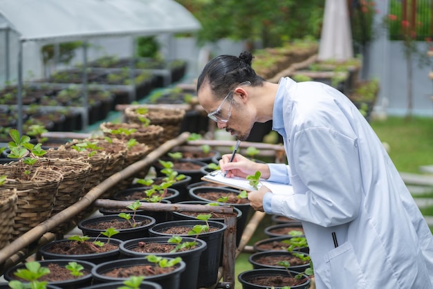 Scientist working to research in agriculture green plant at biology science laboratory greenhouse, organic experiment test for medical food biotechnology, botany ecology biologist in farming growth