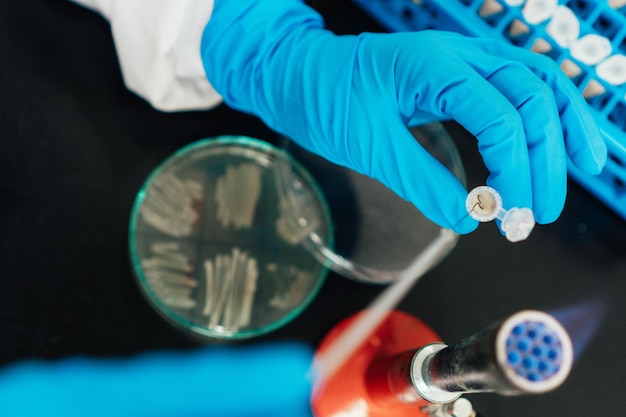 Scientist working with Eppendorf vials with a sample. Concept of laboratory work