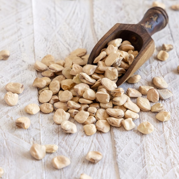 Scoop of raw dry Grass pea close up on wooden table Legumes known in Italy as Cicerchia