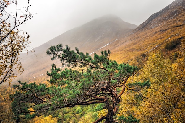 Scotland autumn