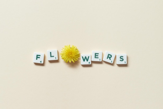 Scrabble tiles with dandelion on beige background