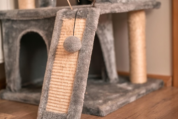 Scratching post for cats in apartment interior Activity for a domestic pet