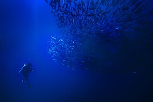 scuba diver and school of fish, fish tornado, underwater view ecosystem man under water