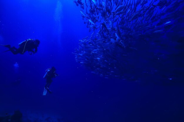 scuba diver and school of fish, fish tornado, underwater view ecosystem man under water