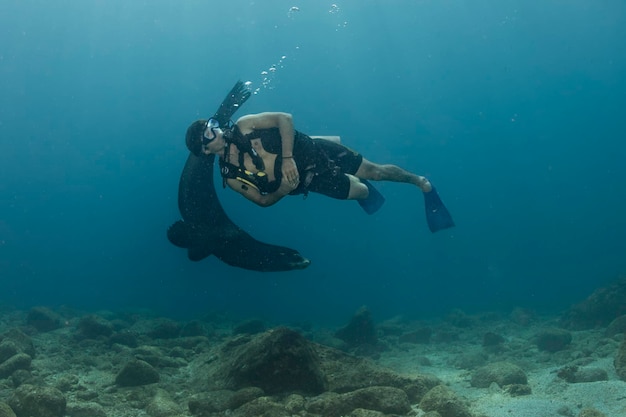 Scuba diver and Seal sea lion in baja california